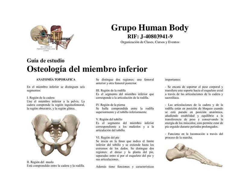 Osteologia Miembro inferior