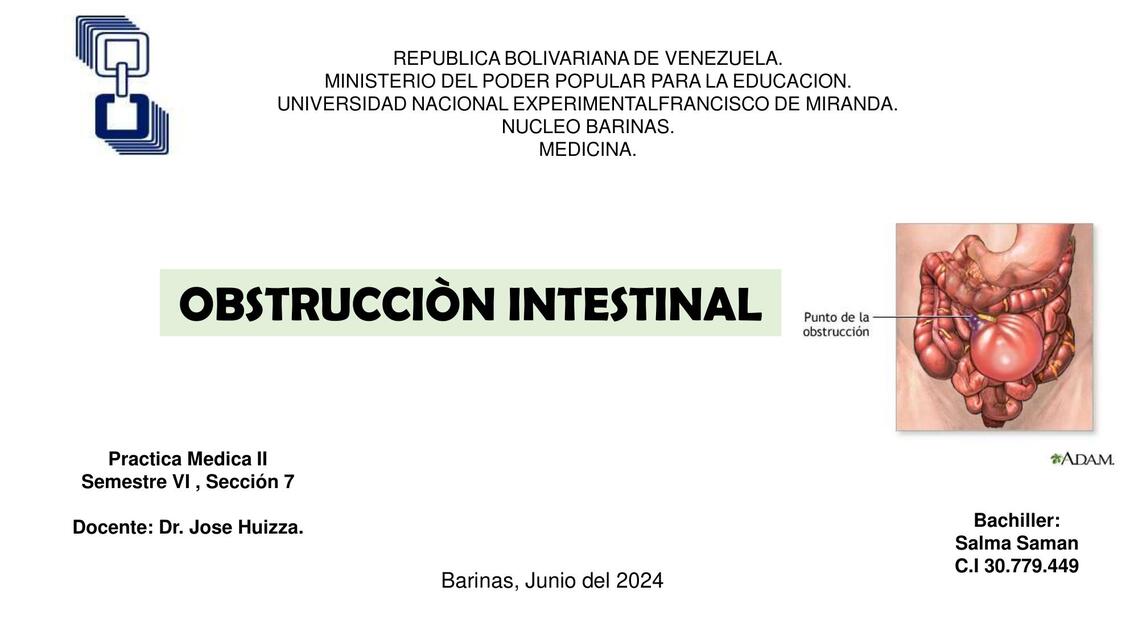 OBSTRUCCION INTESTINAL CORRECCIONES 2