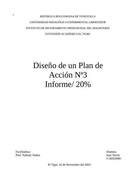 Diseño de un Plan de Acción