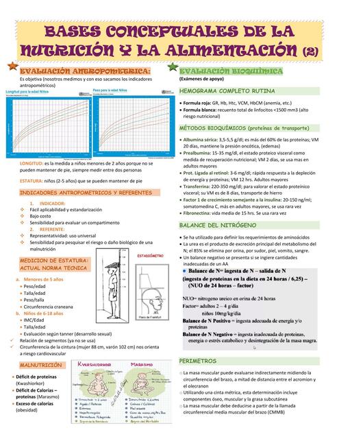 NT 2 EVALUACION NUTRICIONAL