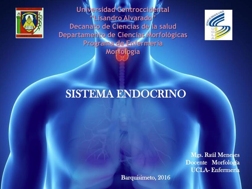 Tema 6 Endocrino