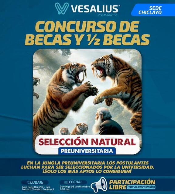 BASES DE CONCURSO 2