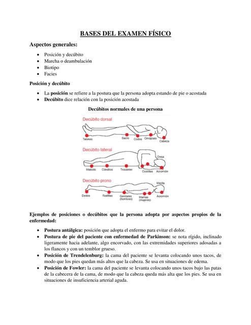 BASES DEL EXAMEN FiSICO