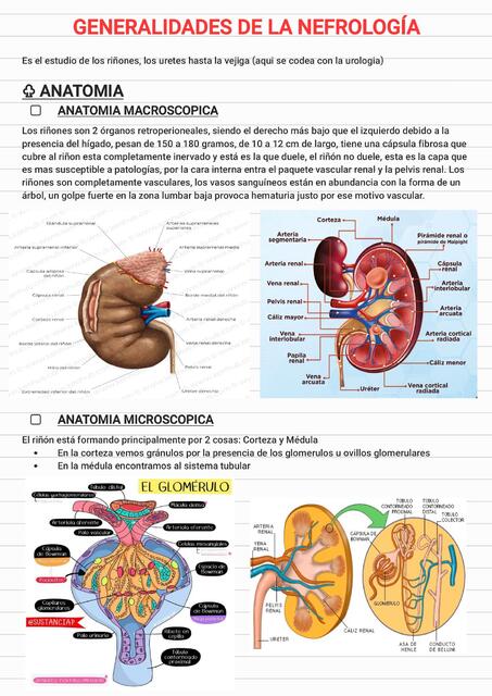 NEFROLOGÍA