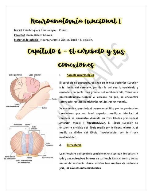 Neuroanatomía Funcional I Cap 6