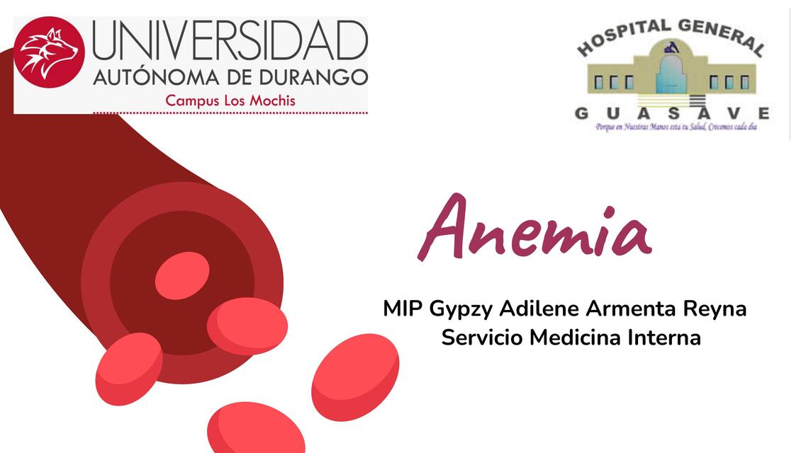 Anemia pdf