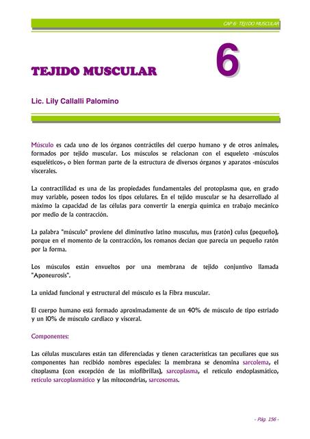 TEJIDO MUSCULAR