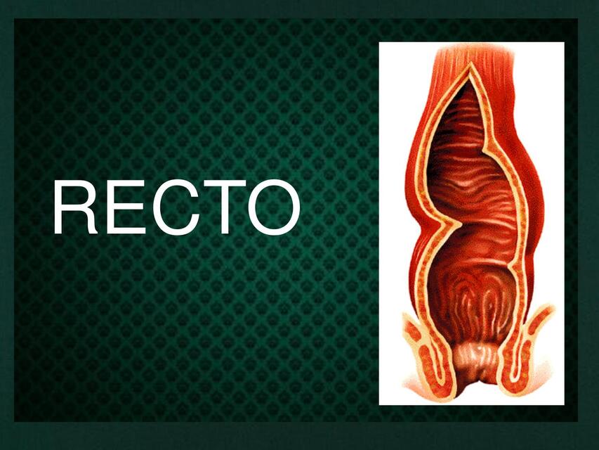 RECTO