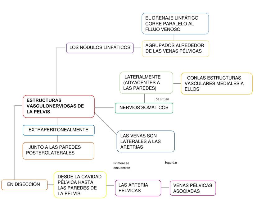 ESTRUCTURAS VASCULONERVIOSAS DE LA PELVIS