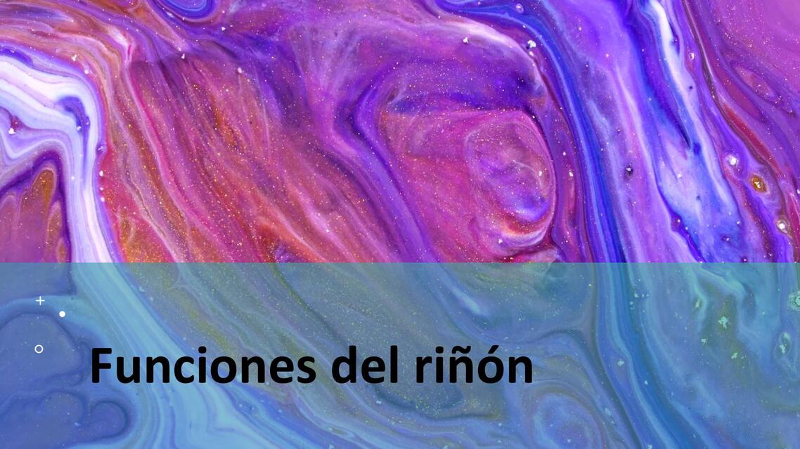 Funciones del riñón