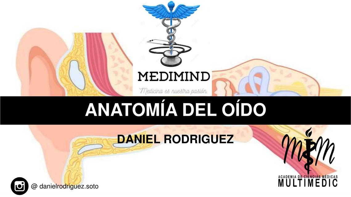 ANATOMÍA DEL OÍDO