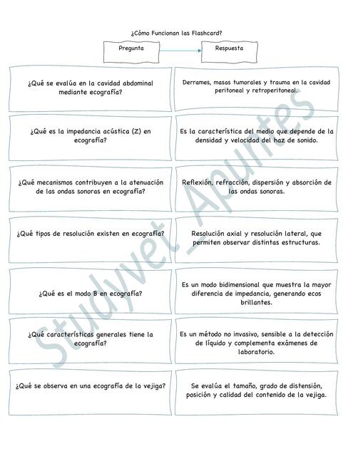 Flashcard Estudio Ecografia