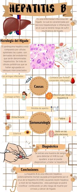 Virus de Hepatitis B