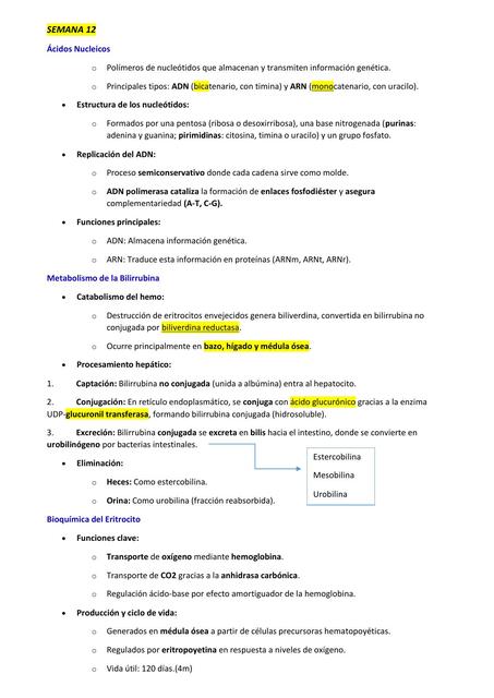 ACIDOS NUCLEIDOS, BIOQUIMICA DE LOS ERITROCITOS METABOLISMO DE LA BILIRRUBINA