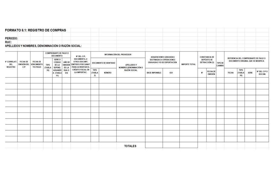 formatos de registros docx