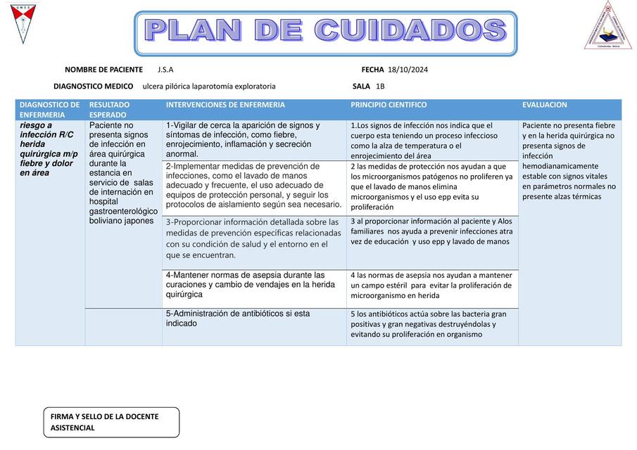 plan de cuidados