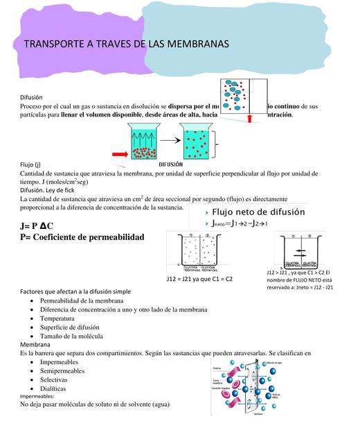 Transporte A Través de las Membranas 