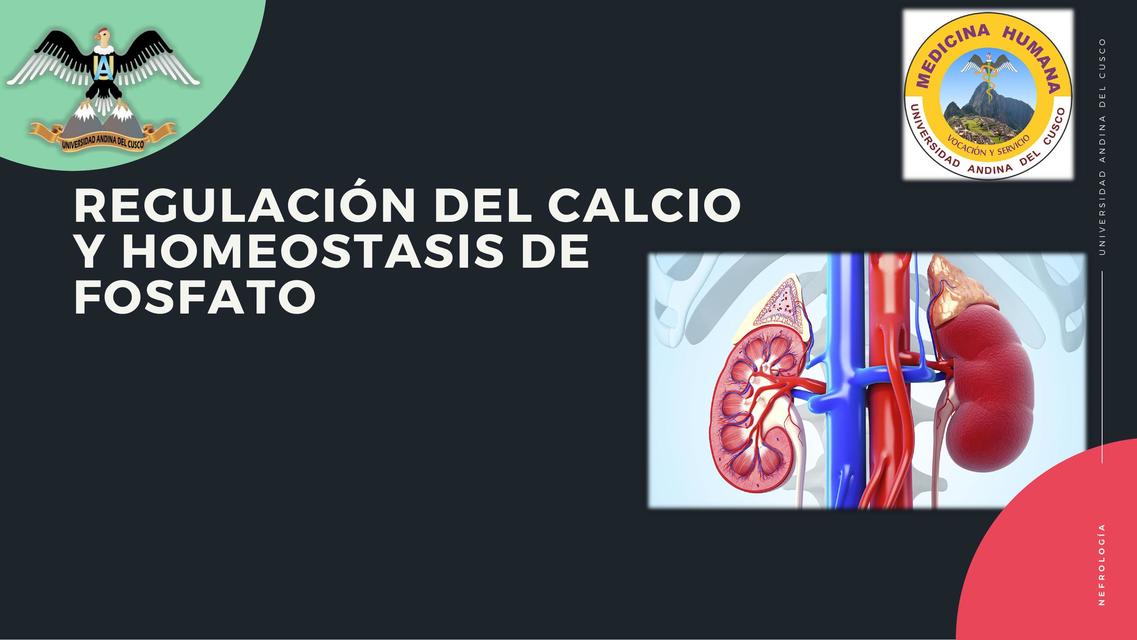 REGULACIÓN DEL CALCIO Y HOMEOSTASIS DE FOSFATO