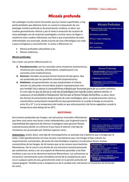 MICROBIOLOGIA: Micosis profunda