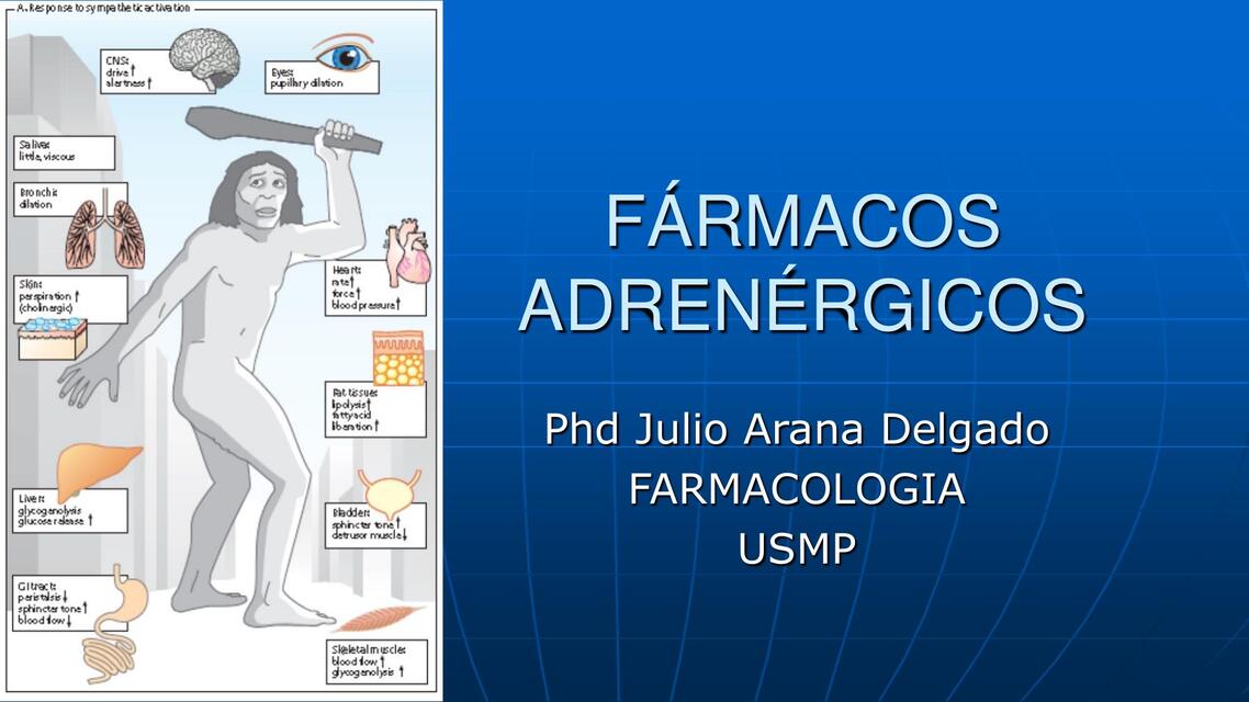 FÁRMACOS ADRENÉRGICOS1