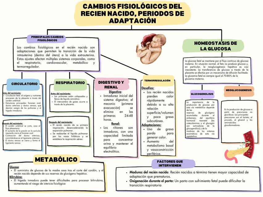 Adaptación del recién