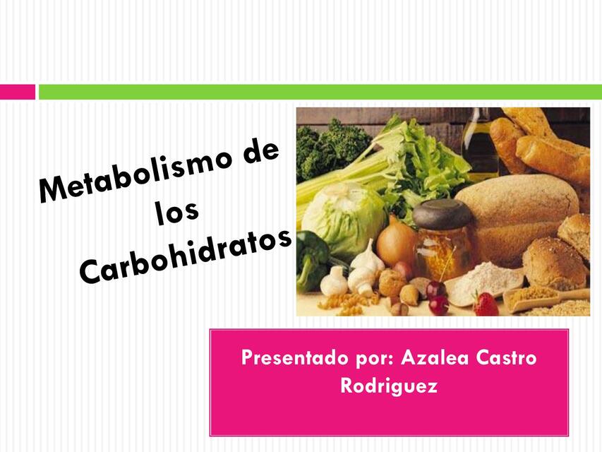 METABOLISMO DE CARBOHIDRATOS 2 PARCIAL