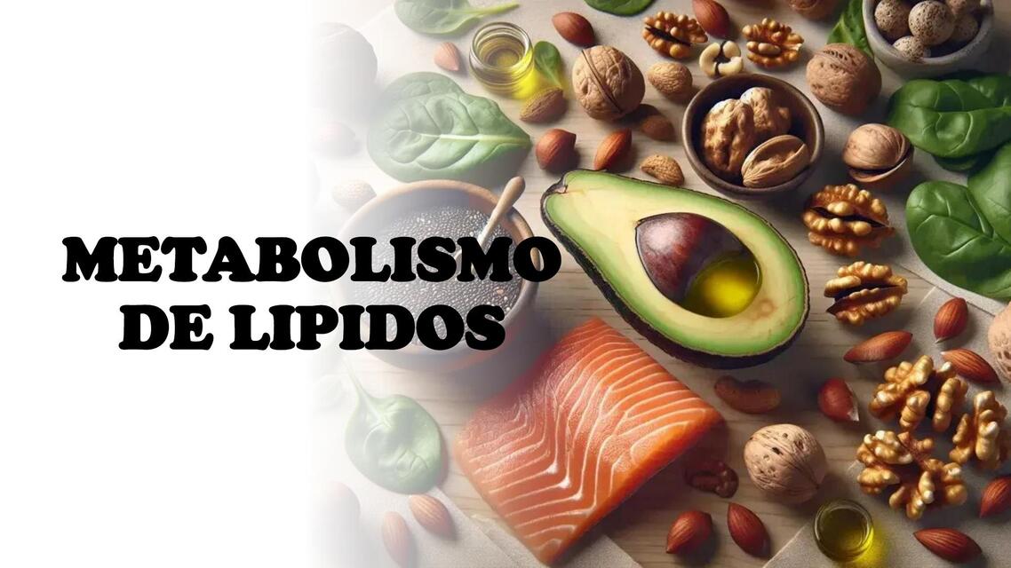 METABOLISMO DE LIPIDOS 2 PARCIAL