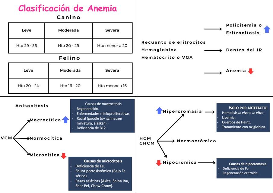 Flashcard Anemias