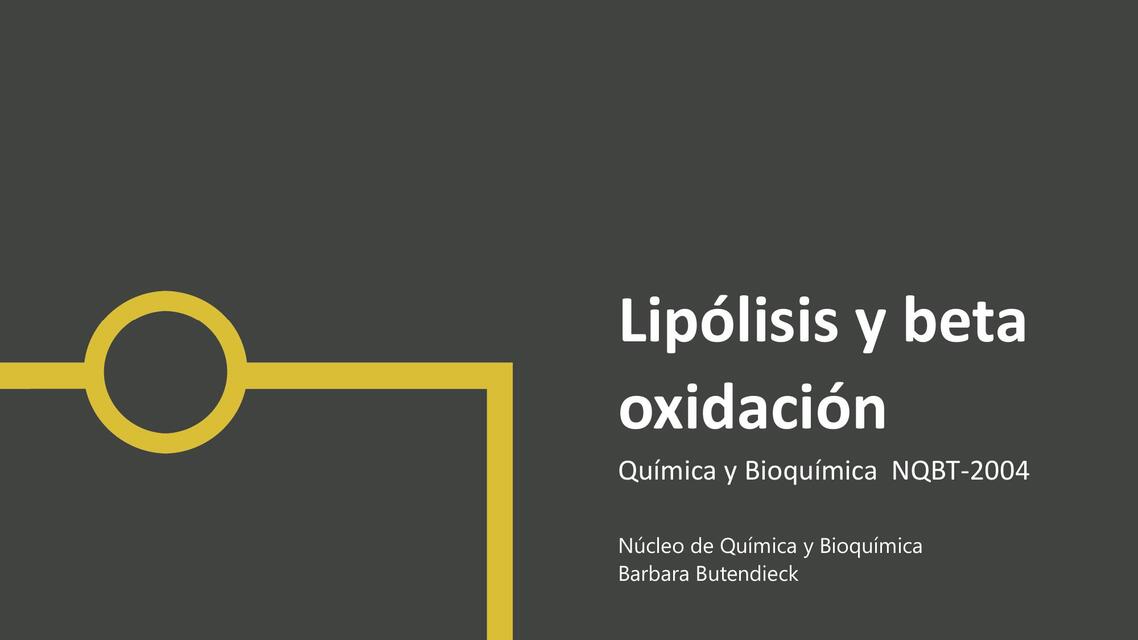 17 lipólisis beta oxidación