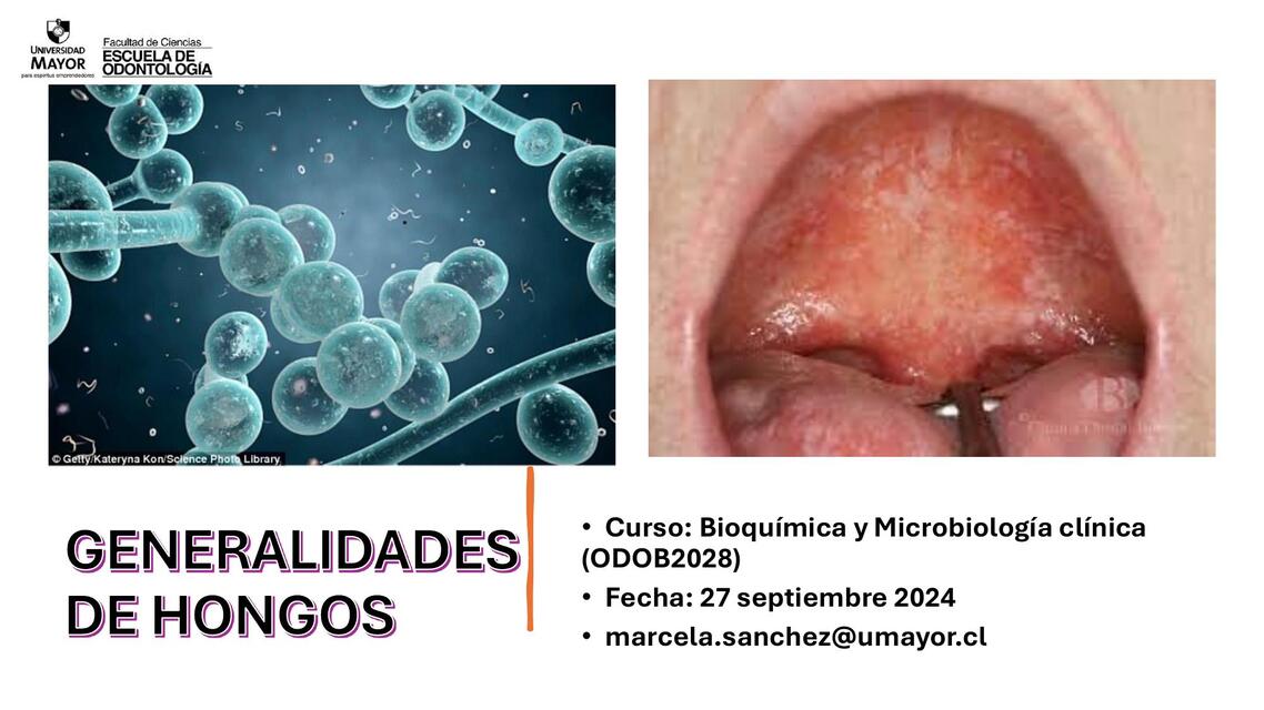 Generalidades de hongos Levaduras y hongos filamen