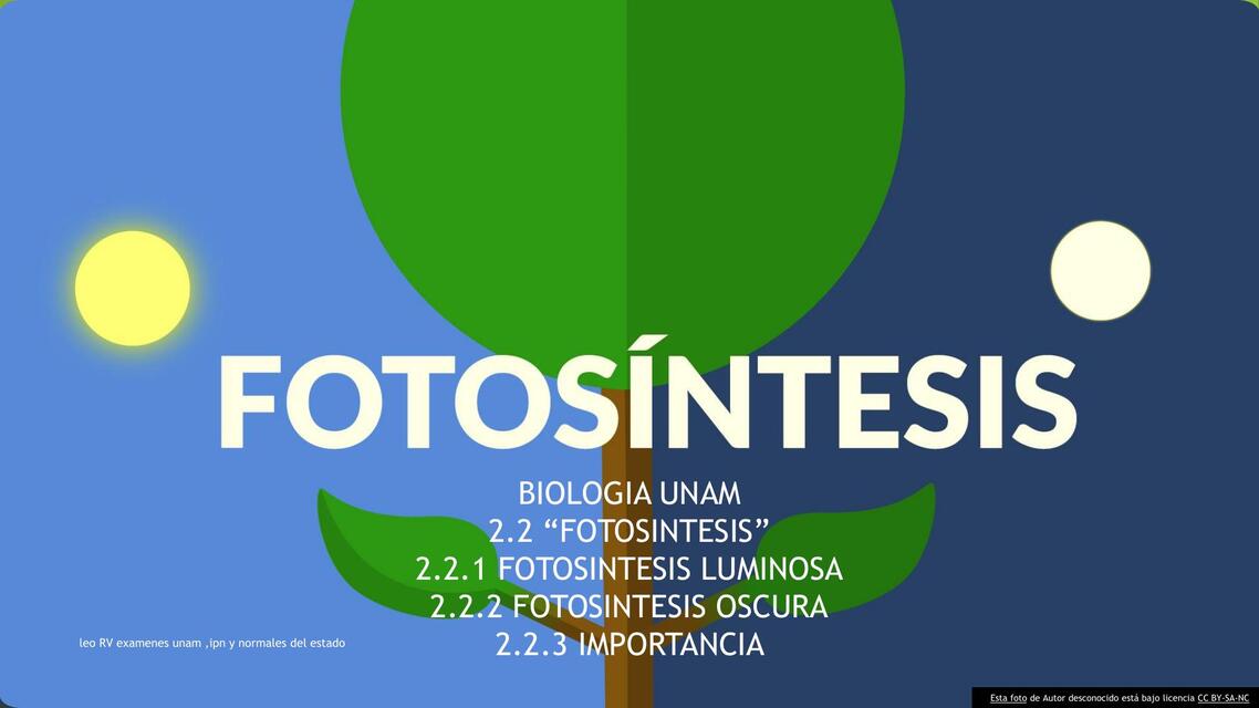 fotosintesis unam