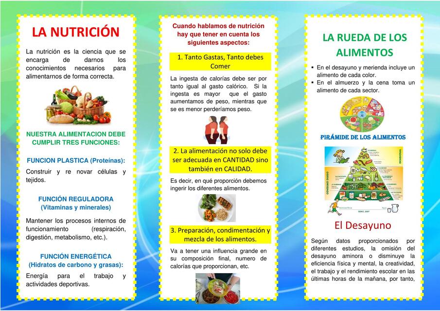 TRIPTICO LA NUTRICION