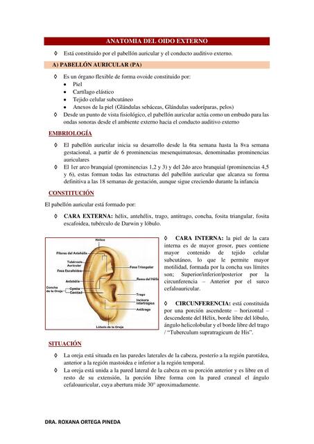 TEMA 4 1 EAFS Y PATOLOGÍAS DEL OIDO EXTERNO