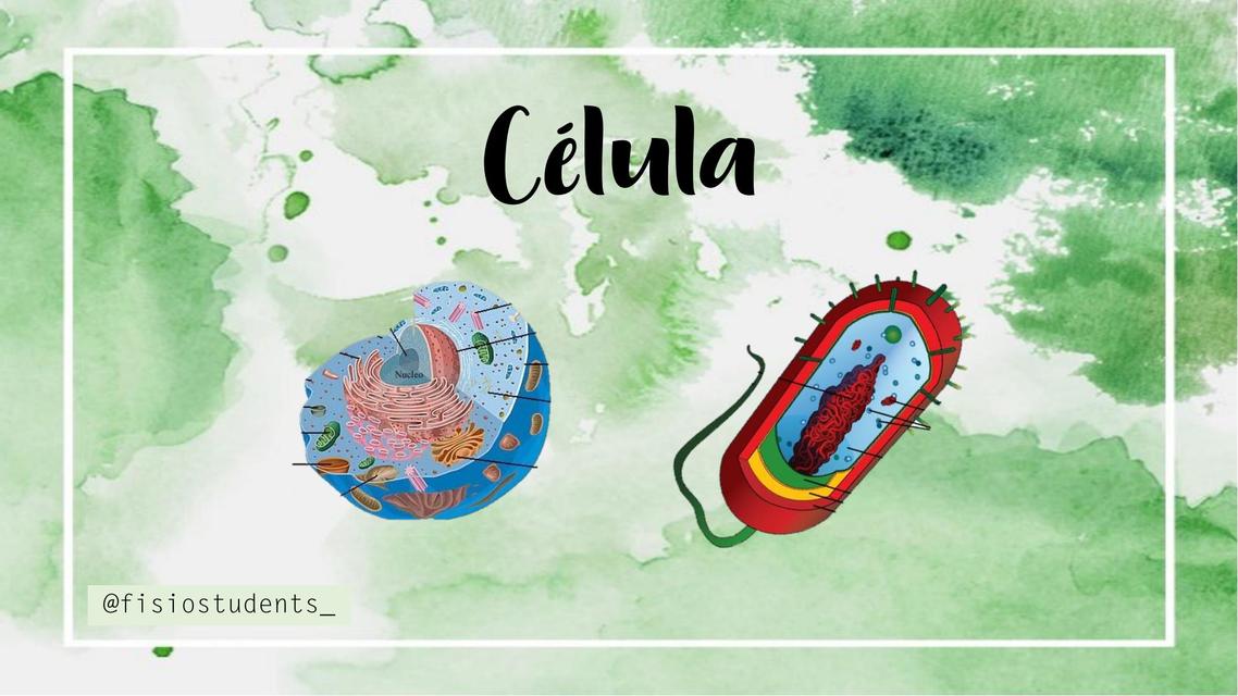 Célula