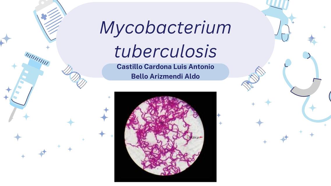 Mycobacterium tuberculosis