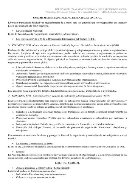 UNIDAD 3 - Derecho Laboral Colectivo y de la Seguridad Social