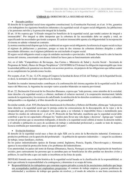 UNIDAD 11 - Derecho Laboral Colectivo y de la Seguridad Social