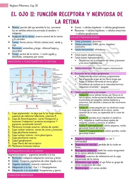 Cap 51 Guyton Ojo II funcion receptora y nerviosa retina
