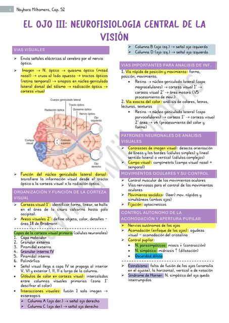 Cap 52 Guyton ojo III neurofisiologia central y visual