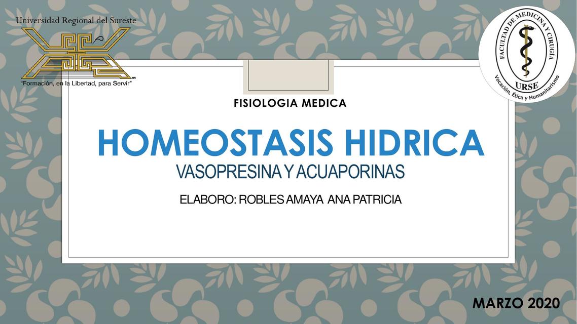 HOMEOSTASIS HIDRICA