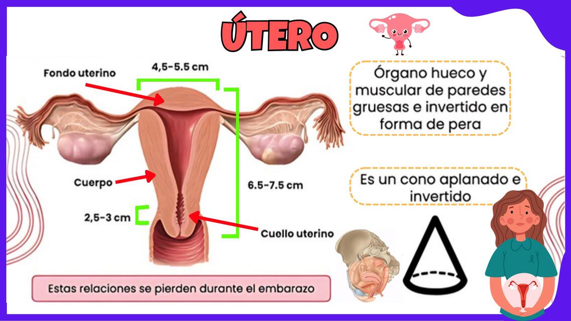 UTERO