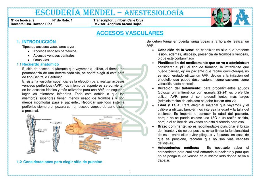 09 ANE 22 03 ACCESOS VASCULARES