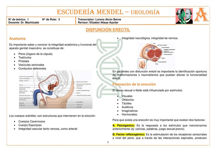 CIII UROLOGÍA T13