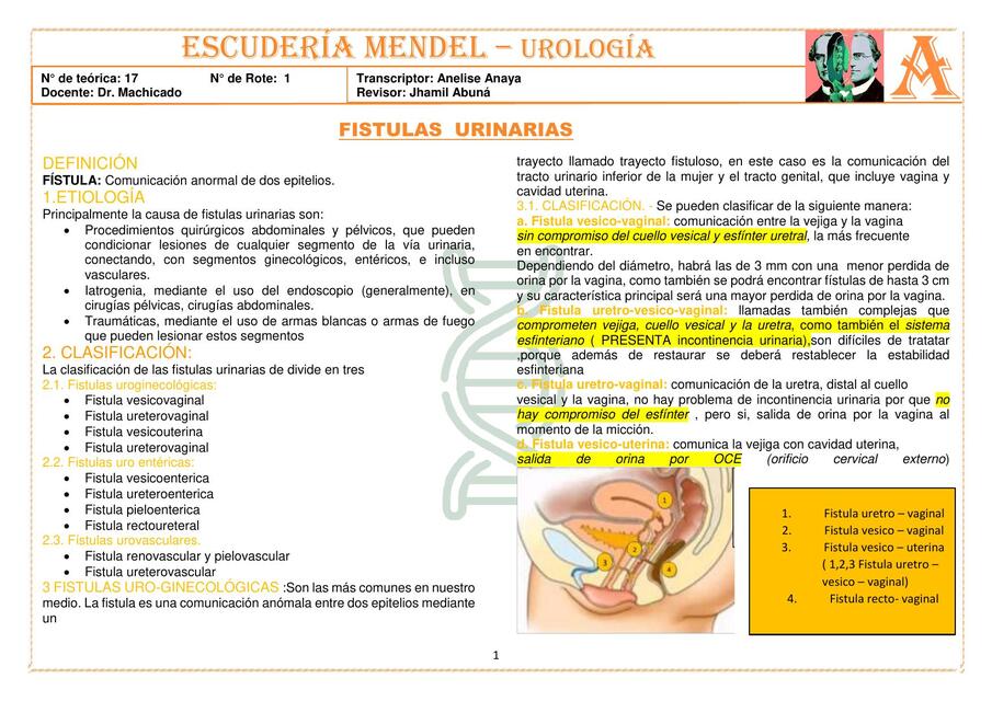 CIII UROLOGÍA T17