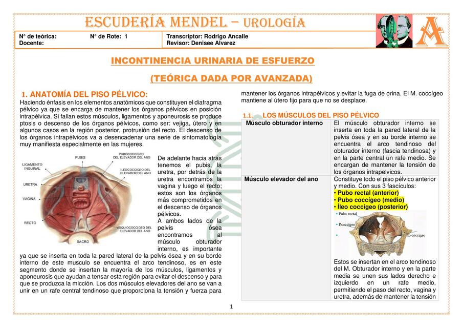 CIII UROLOGÍA T15