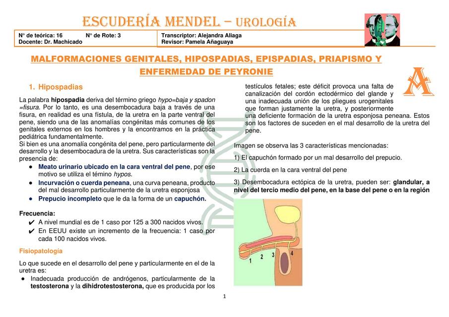 CIII UROLOGÍA T16