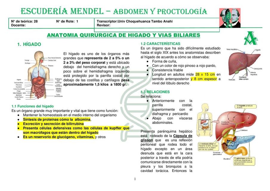 T28 ANATOMIA QUIRURGIA DE HIGADO PANCREAS Y VIAS B