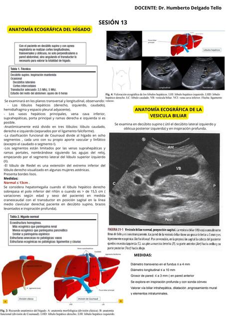 HIGADO VESICULA RESUMEN DR TELLO