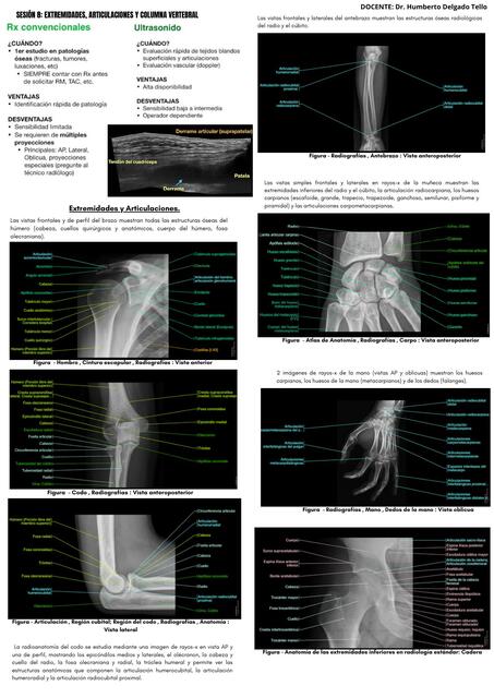 EXTREMIDADES Y ARTICULACIONES RESUMEN DR TELLO