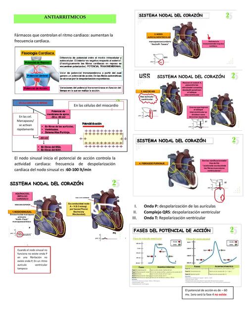 Antiarritmicos FARMACOLOGIA